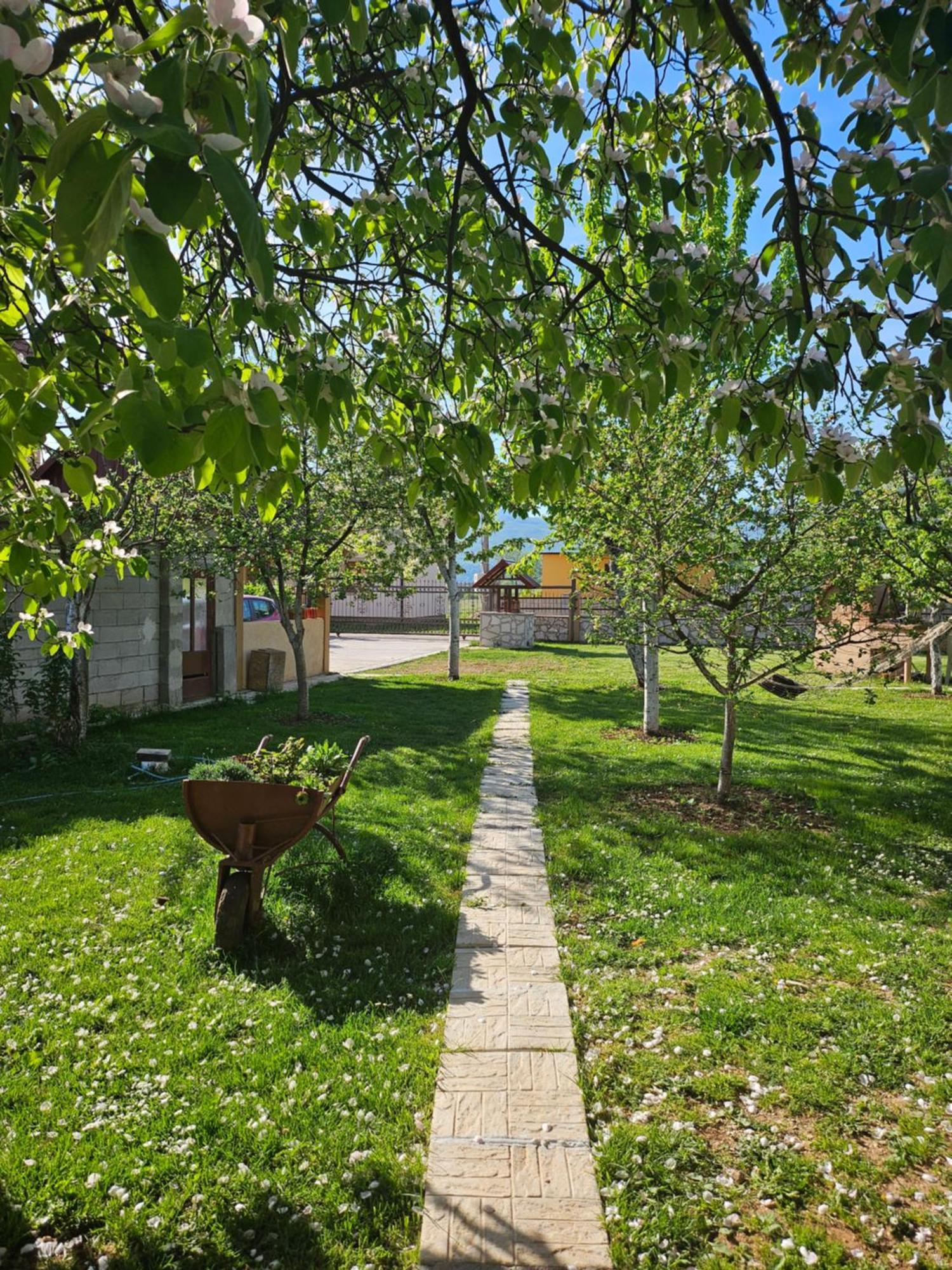 Calm Nest Apartment Niksic Exterior photo